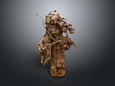 Natural Plant Tree Stump With Rough Bark Texture And Twisted Branches Structure 3d model