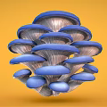 Vibrant Blue Oyster Mushrooms Cluster on Bright Yellow Background Fresh Vegetable