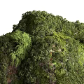 Lush Greenery Covered Garden Ornament With Diverse Plants And Fresh Foliage