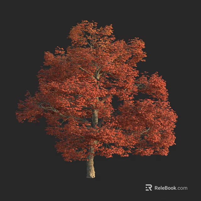 Tall Arbor With Vibrant Red Leaves Against Black Background 3d model