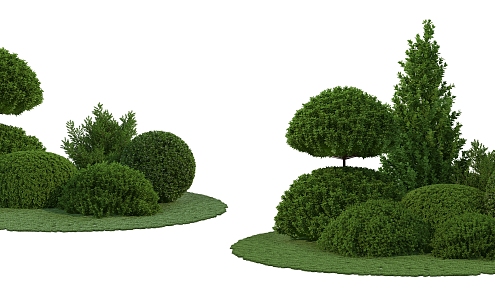 green plant shrub 3d model