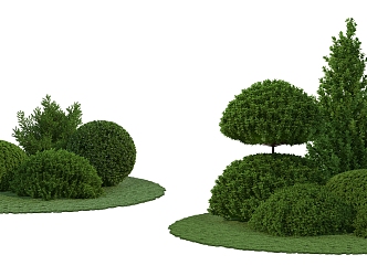 green plant shrub 3d model