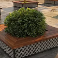 Square Tree Planter with Wooden Top and Green Shrub in Stone Paved Area