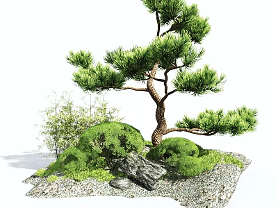Japanese Style Courtyard Garden With Pine Tree Bushes Stones And Gravel 3d model