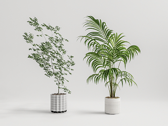 Modern potted plant potted landscape tree 3d model