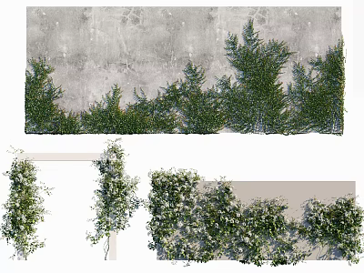Lush Green Climbing Vines Various Types With Foliage For Wall Decoration 3d model