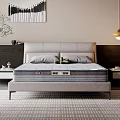 Double Bed In Bright Bedroom With Leather Headboard Gray Mattress Green Plant And Wall Art