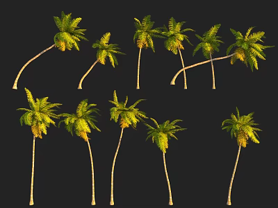 Multiple Green Palm Trees In Various Shapes And Forms On Black Background 3d model