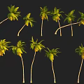 Multiple Green Palm Trees In Various Shapes And Forms On Black Background