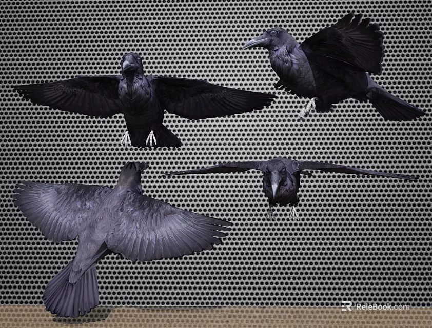Four Black Crows in Various Flight Poses Against Mesh Background 3d model 