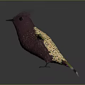 Crested Purple Bird with Yellow and Green Feathers Outstretched Wings on Reflective Surface
