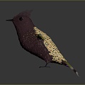 Modern bird hummingbird bird bird 3d model