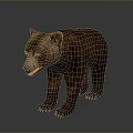 Realistic Brown Bear Standing Model With Detailed Fur And Lifelike Posture