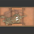 Wooden Display Case With Glass Doors Holding Skeleton And Specimens On Shelves