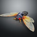 Macro View Of A Cicada With Black Body Red Eyes Transparent Yellow Wings