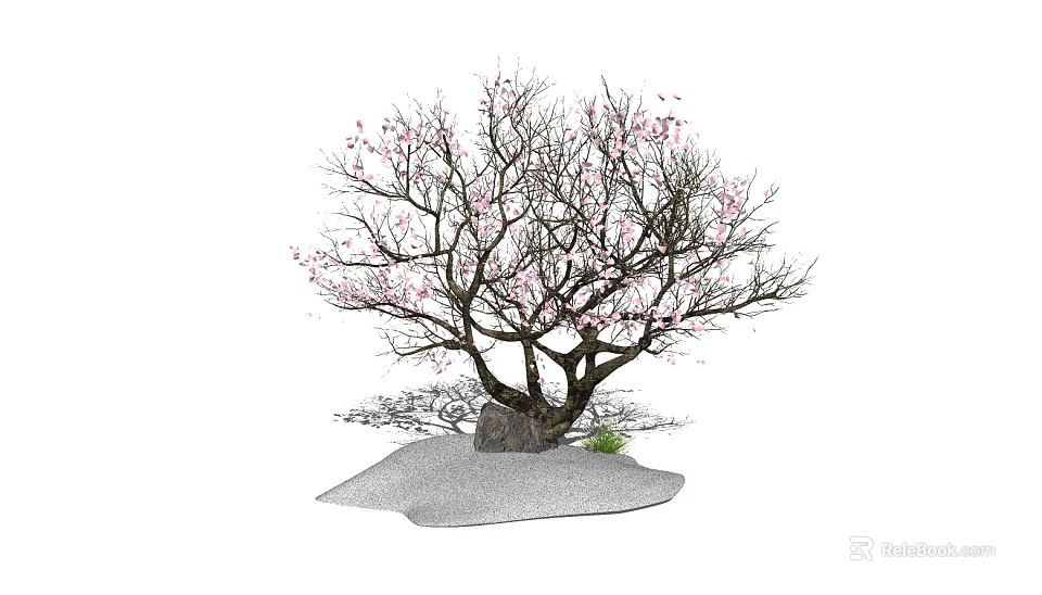 Ornamental Arbor With Pink Blossoms Thick Trunk And Stone Base In Garden 3d model 