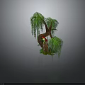 Weeping Willow Tree with Brown Trunk Green Hanging Branches and Colorful Parrot Perched