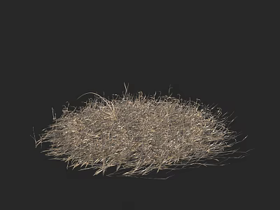Pile of Dry Grass with Natural Texture on Black Background 3d model