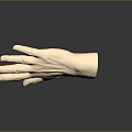 Realistic 3D Human Hand Model With Fine Hair On Dark Reflective Background