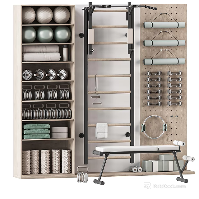 Sports Equipment Storage Organizer With Medicine Balls Dumbbells Yoga Rings Towels And Fitness Bench 3d model 