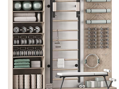 Sports Equipment Storage Organizer With Medicine Balls Dumbbells Yoga Rings Towels And Fitness Bench 3d model