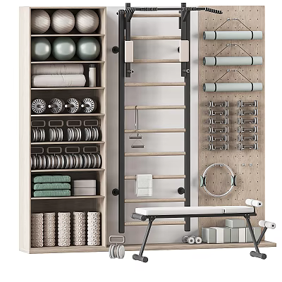 Sports Equipment Storage Organizer With Medicine Balls Dumbbells Yoga Rings Towels And Fitness Bench 3d model