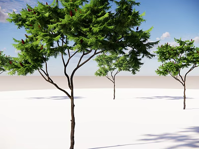 Lush Arbor Trees With Green Leaves Against Blue Sky And White Ground 3d model