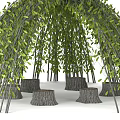 Vine Arch Structure Featuring Branches Green Foliage and Tree Stumps Garden Decor