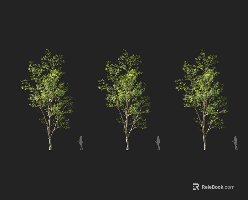 Three Green Leafy Arbor Trees With Human Silhouettes Against Black Background 3d model