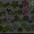 Various Colorful Flowers And Plants With Decorative Stones In Garden Collection