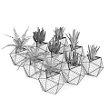 Bonsai Potted Plants In Geometric Black Grey White Planters With Green Foliage