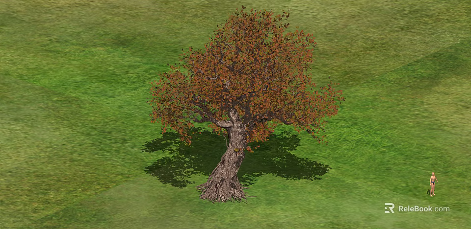 Shrub With Orange Leaves And Thick Trunk On Green Grass Field 3d model 