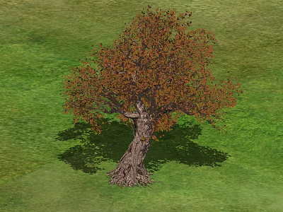 Shrub With Orange Leaves And Thick Trunk On Green Grass Field 3d model