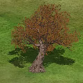 Shrub With Orange Leaves And Thick Trunk On Green Grass Field