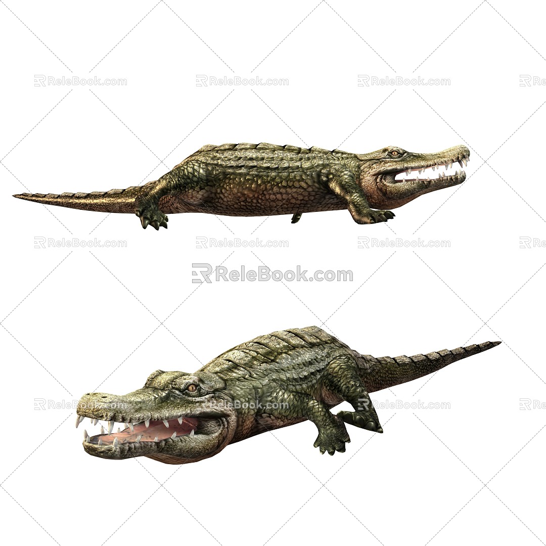 Modern Crocodile 3d model