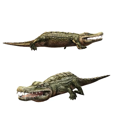 Realistic Aquatic Animal Crocodile Models With Detailed Skin And Open Mouth 3d model