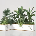Indoor Plant Combination In White L Shaped Planter With Tropical Green Leaves