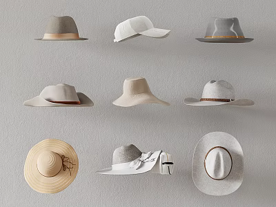 Stylish Hats Various Styles and Colors Arranged on Gray Wall Display for Fashion Accessory Collection 3d model