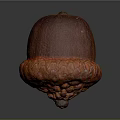 Detailed Acorn With Brown Top And Orange Textured Base On Dark Background