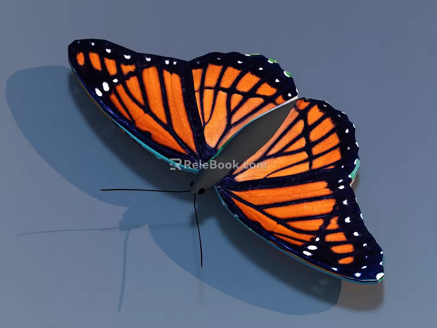 Butterfly Flying Butterfly Colored Butterfly Tabby Butterfly Dead Leaf Butterfly Chicken Butterfly 3d model
