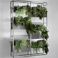 Hanging Basket Green Plants In Vertical Metal Frame With Various Foliage And Decorative Design