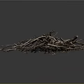Natural Dry Twigs Stacked In Pile With Various Sizes And Textures