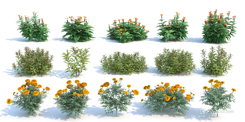 Diverse Garden Shrubs With Yellow Flowers And Green Foliage For Landscaping 3d model 