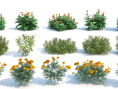 Diverse Garden Shrubs With Yellow Flowers And Green Foliage For Landscaping 3d model