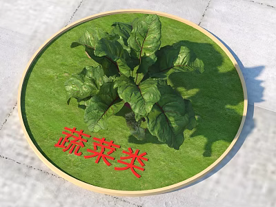 Fresh Leafy Vegetable Plant In Circular Grassy Area With Red Sign 3d model