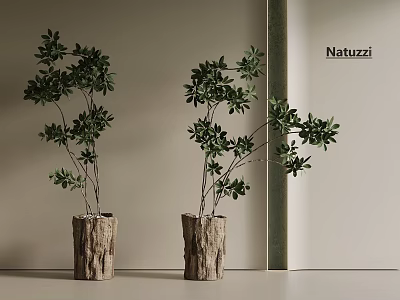 Natuzzi Indoor Green Plants In Wooden Texture Pots For Home Decor 3d model