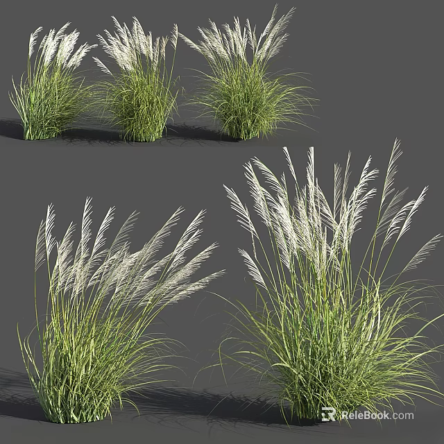 Decorative Ornamental Plant Arrangement with Green Foliage and White Plumes for Home Decor 3d model 