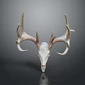 Artistic Deer Skull With Large Antlers And White Bone On Gray Background
