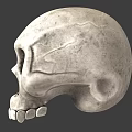 Detailed Human Skull Stone Sculpture With Realistic Texture And Facial Features