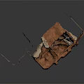 Detailed 3D Anatomical Model of Organ and Hair Structure with Follicles